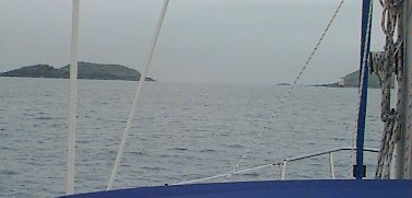 Calf Sound from the North