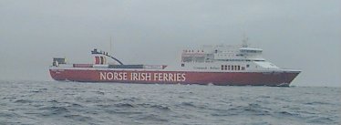 Mersey Viking